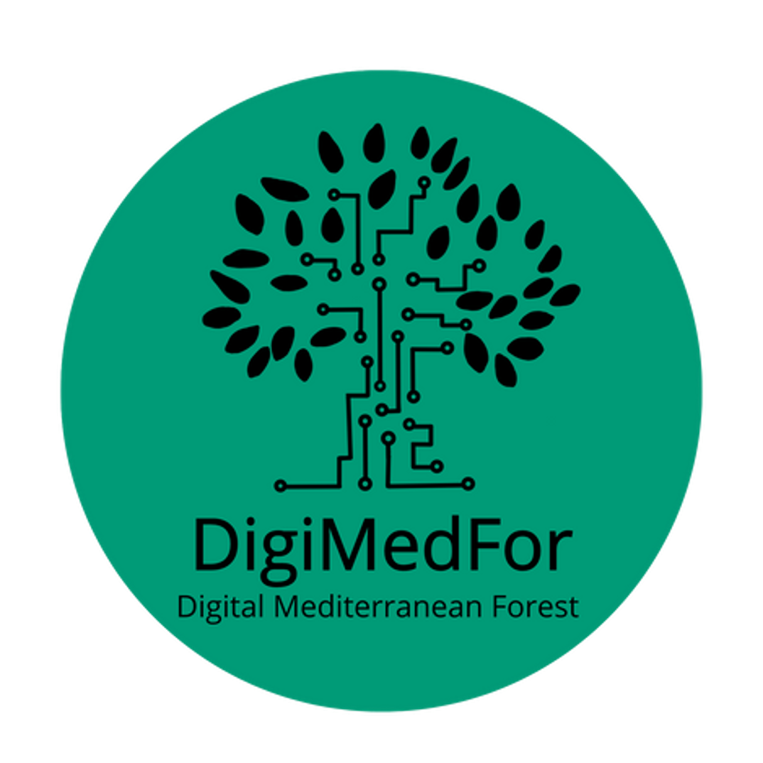 DigiMedFor Logo